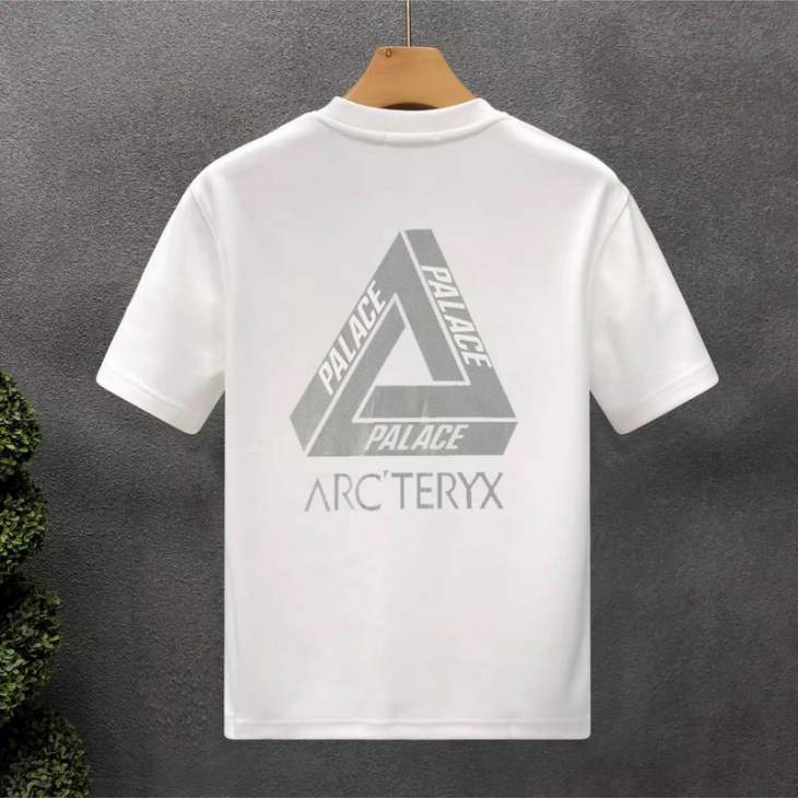 Picture of Arcteryx T Shirts Short _SKUArcteryxXS-L55txS04322838